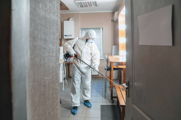Best HVAC Mold Inspection and Cleaning  in Lemon Hill, CA