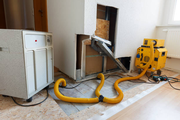 Reliable Lemon Hill, CA Mold Removal Solutions