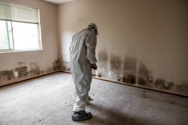 Best Residential Mold Inspection & Testing  in Lemon Hill, CA