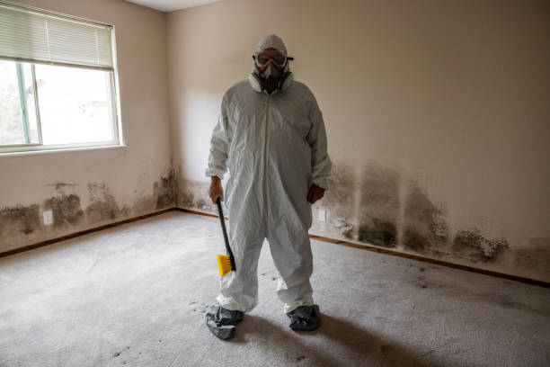 Best Mold Remediation for Healthcare Facilities  in Lemon Hill, CA